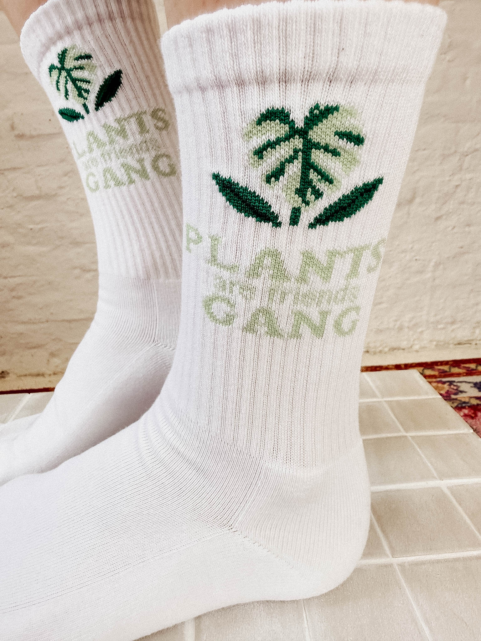 PLANTS ARE FRIENDS.