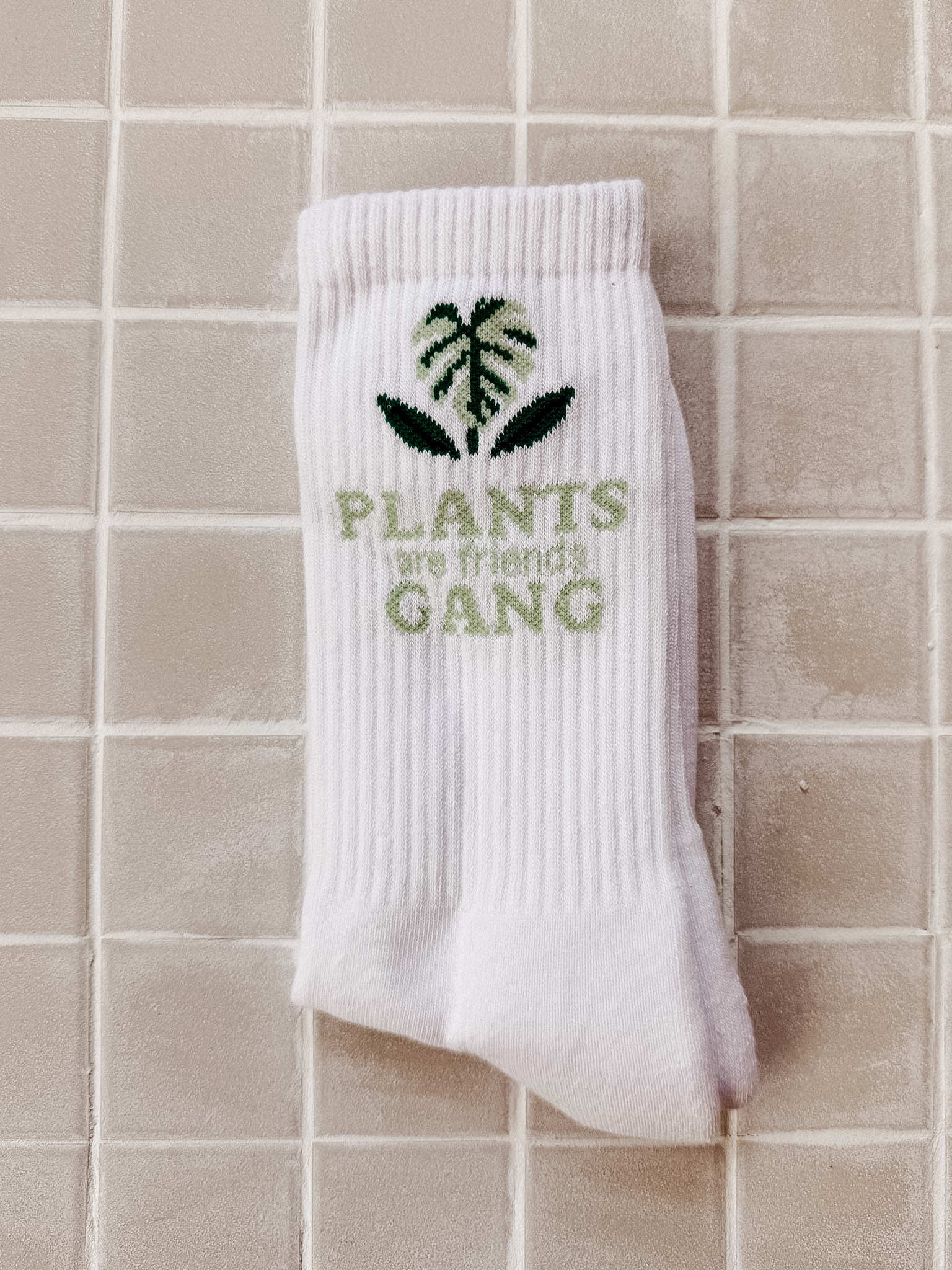 PLANTS ARE FRIENDS.